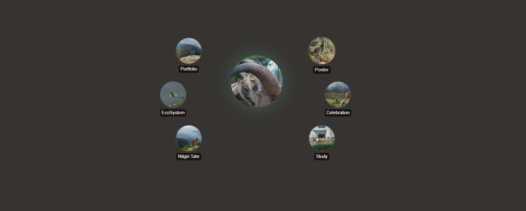 Gallery Categories