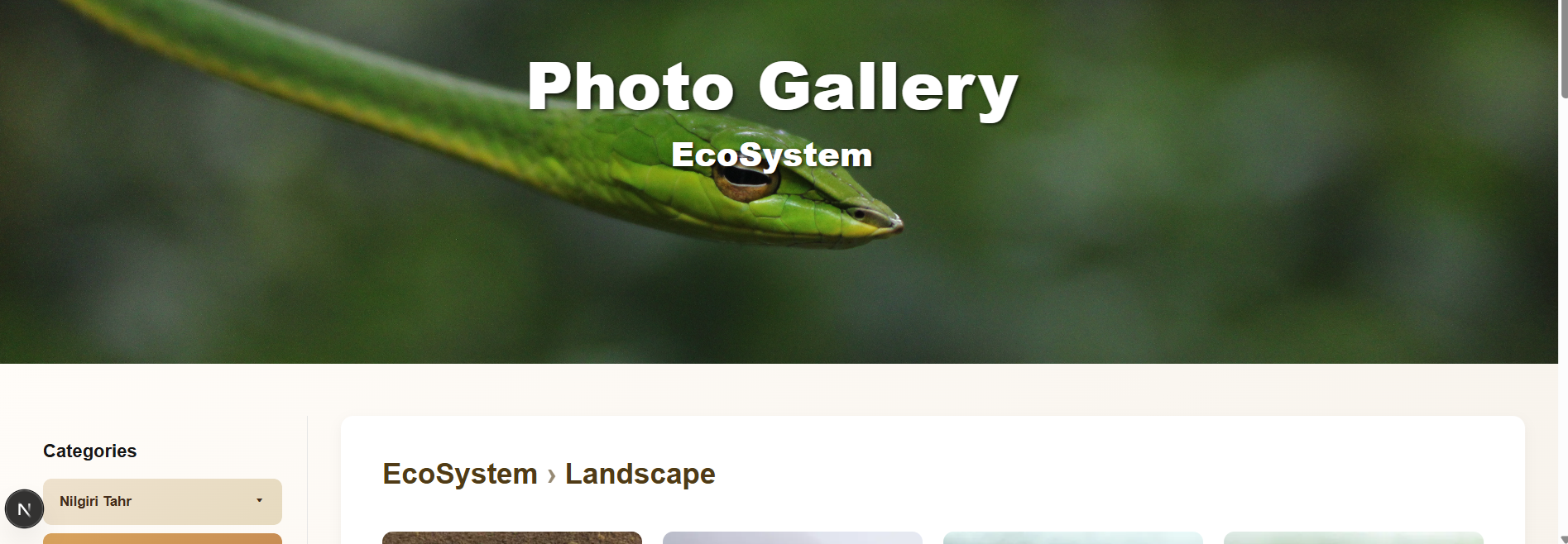 Gallery Homepage