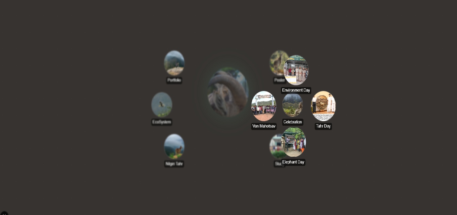 Gallery Subcategories