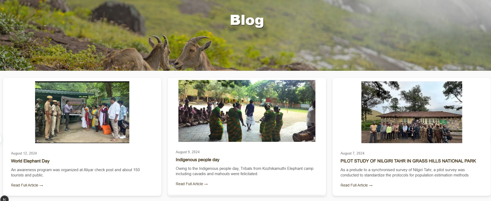 Blog Listing